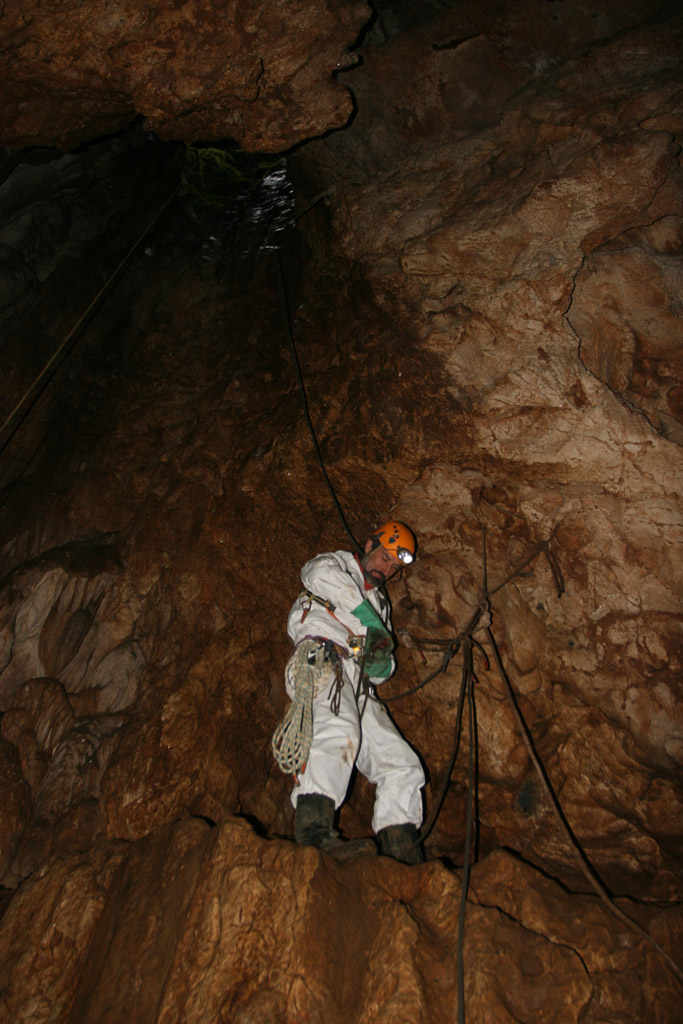 20081108_22